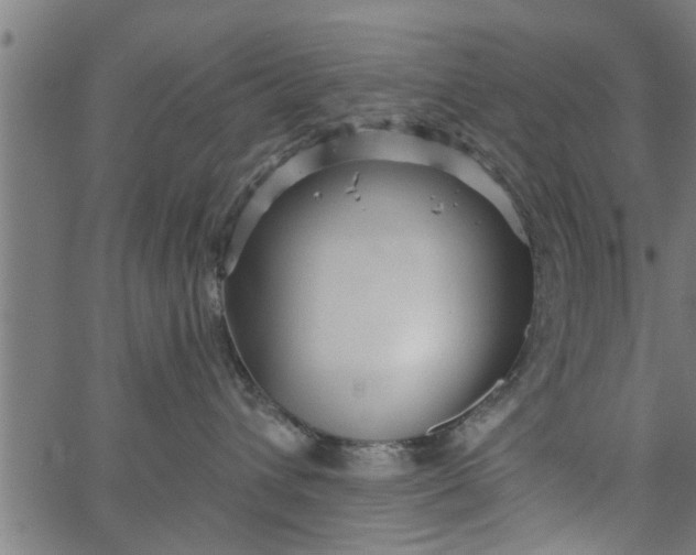 X0000066530432200603311824