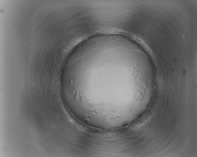 X0000066530433200603311824