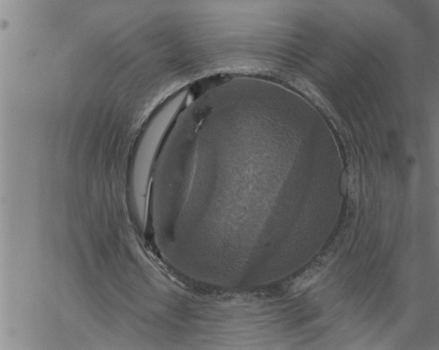 X0000066530434200603311824