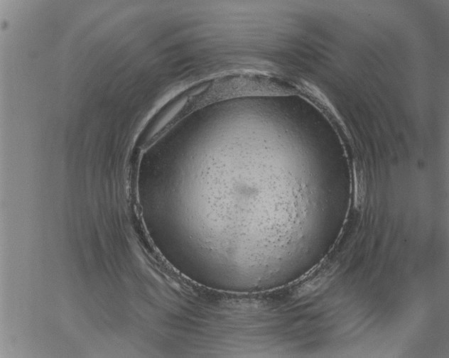 X0000066530435200603311824