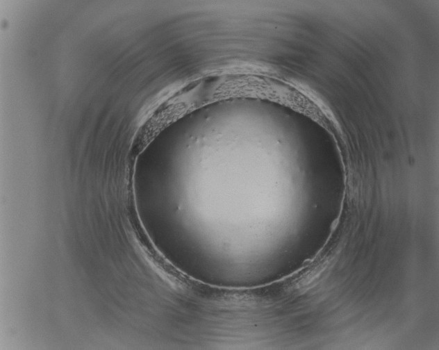 X0000066530437200603311824