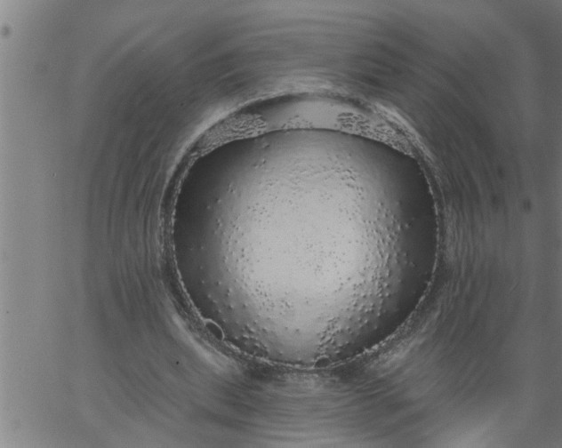 X0000066530439200603311824