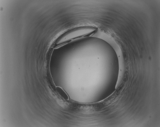 X0000066530440200603311824