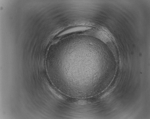 X0000066530441200603311824