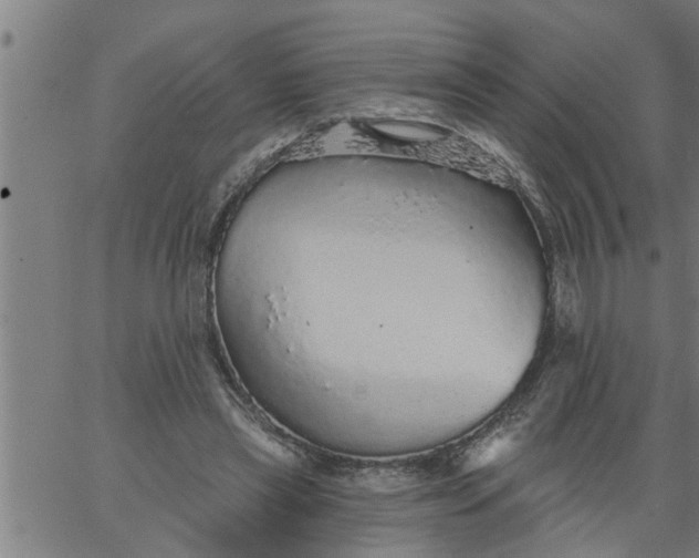 X0000066530445200603311824