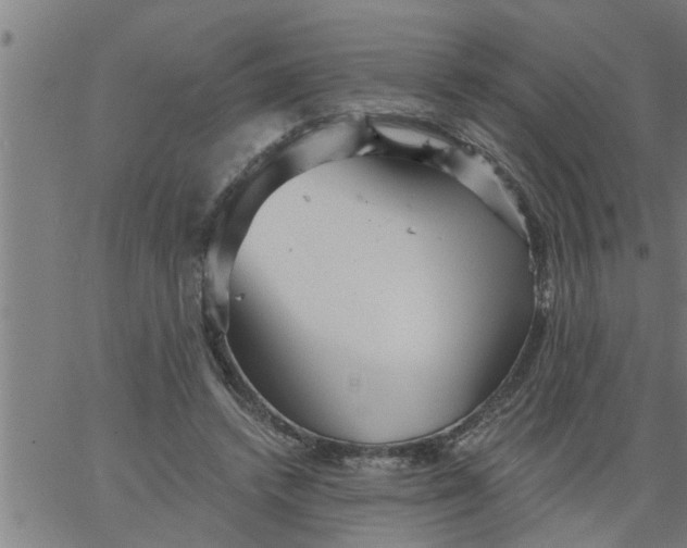 X0000066530448200603311824