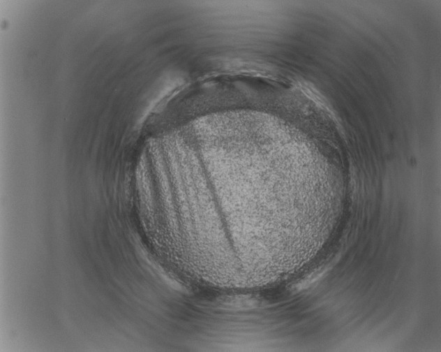 X0000066530449200603311824