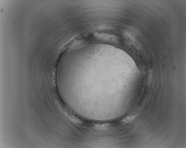 X0000066530450200603311824