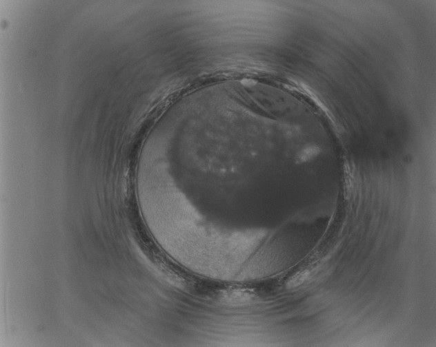 X0000066530451200603311824