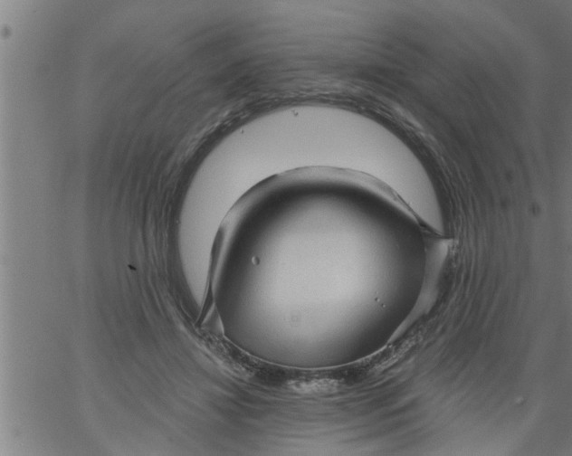 X0000066530452200603311824