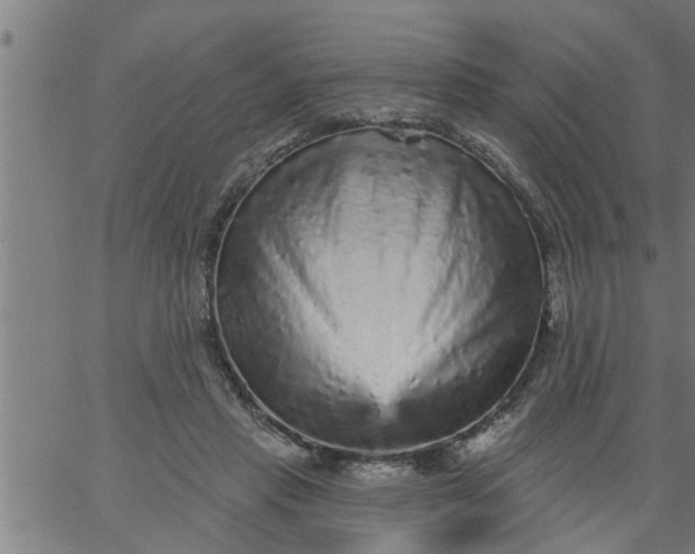 X0000066530453200603311824