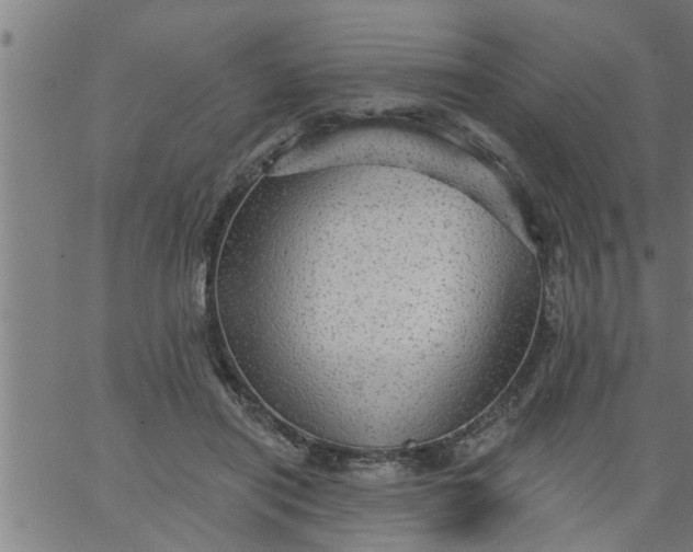 X0000066530454200603311824