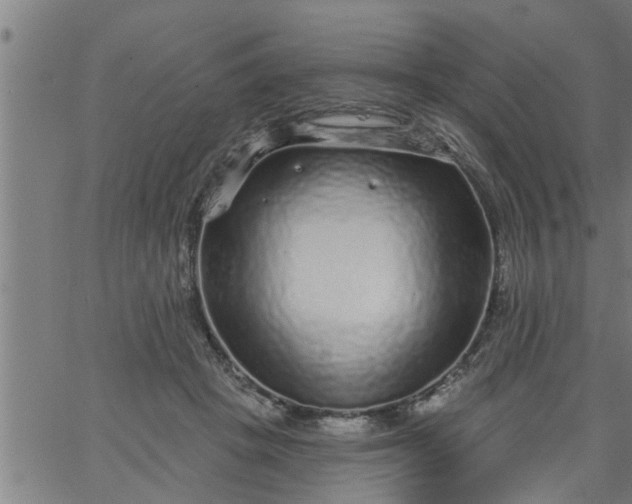 X0000066530457200603311824