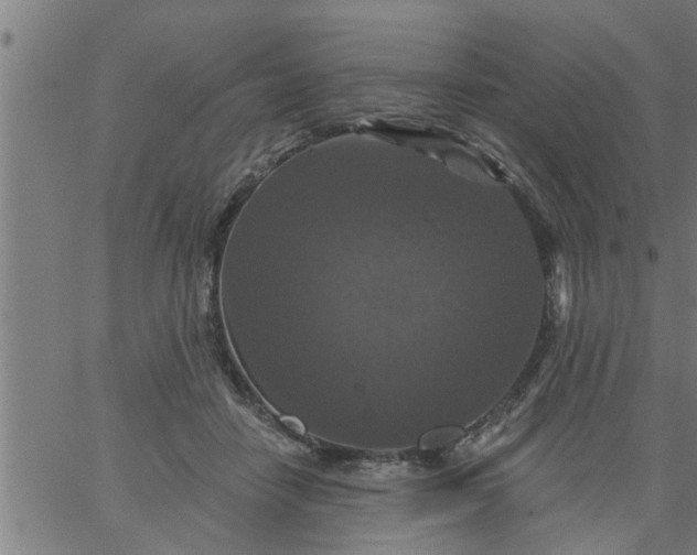 X0000066530458200603311824