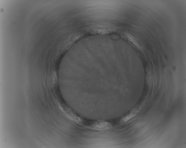 X0000066530459200603311824