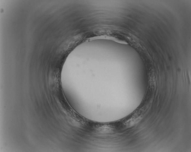 X0000066530460200603311824