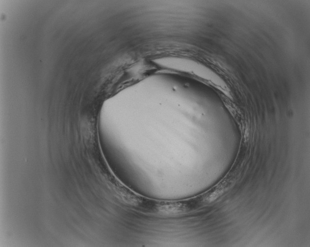 X0000066530461200603311824