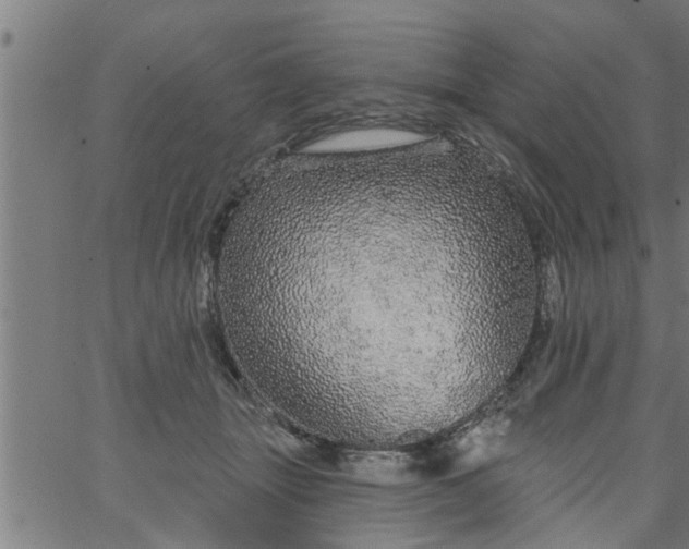 X0000066530463200603311824