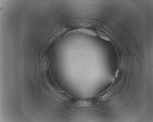 X0000066530464200603311824