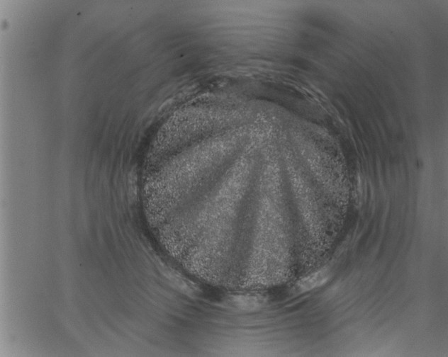 X0000066530466200603311824