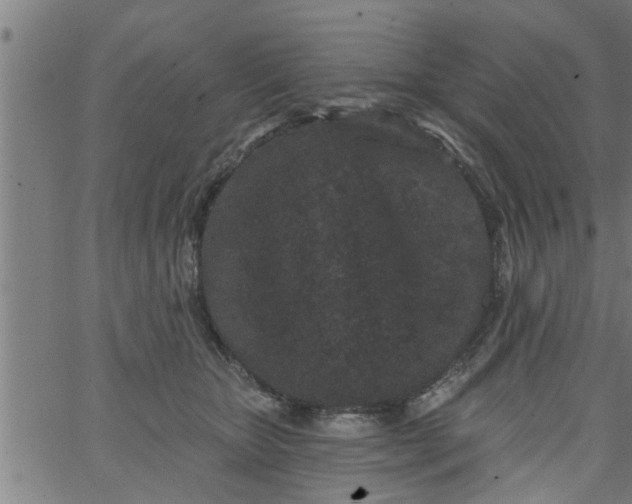 X0000066530467200603311824