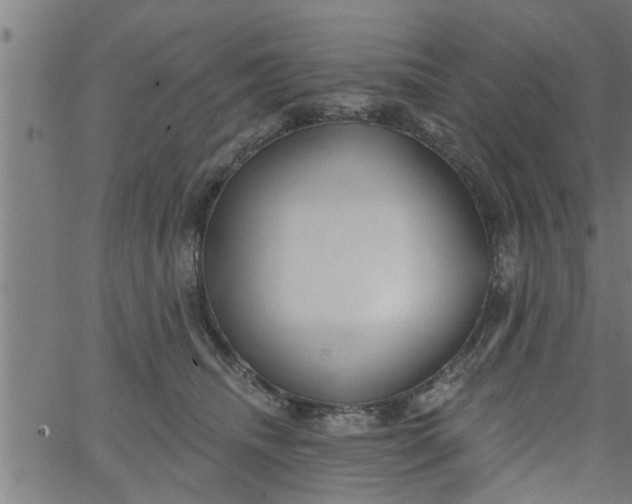 X0000066530468200603311824