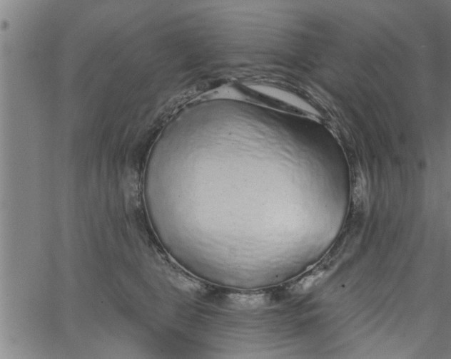 X0000066530469200603311824