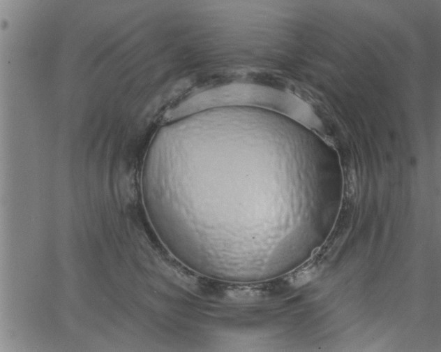 X0000066530470200603311824