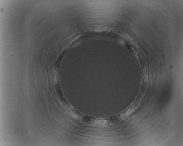 X0000066530471200603311824