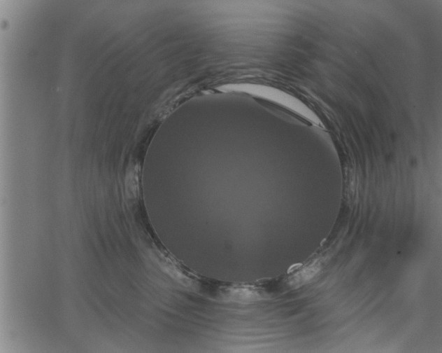 X0000066530475200603311824