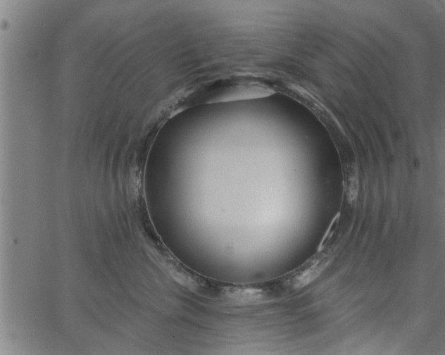 X0000066530476200603311824