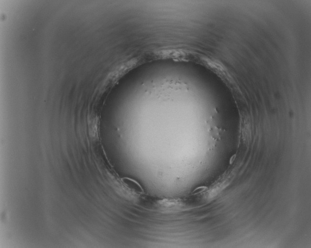 X0000066530477200603311824