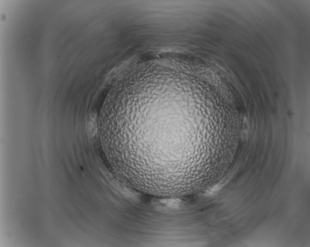 X0000066530478200603311824