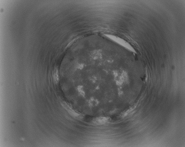 X0000066530479200603311824