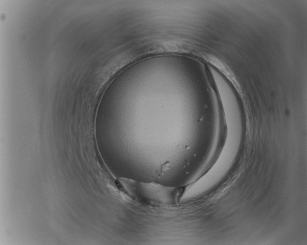 X0000066530481200603311824