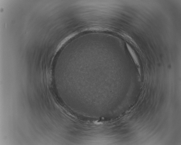 X0000066530484200603311824