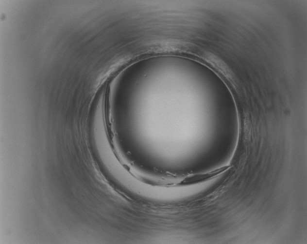 X0000066530485200603311824