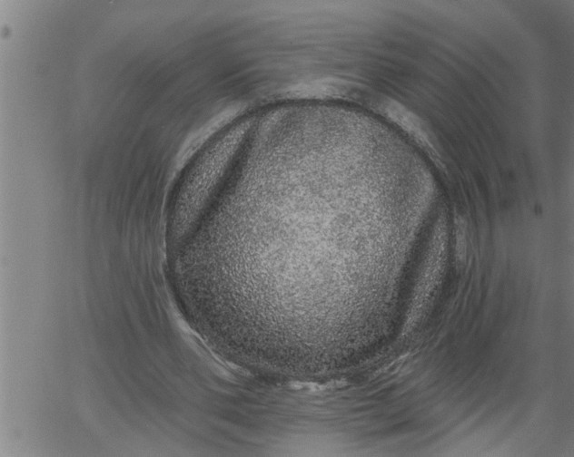 X0000066530486200603311824