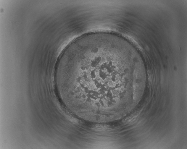 X0000066530487200603311824