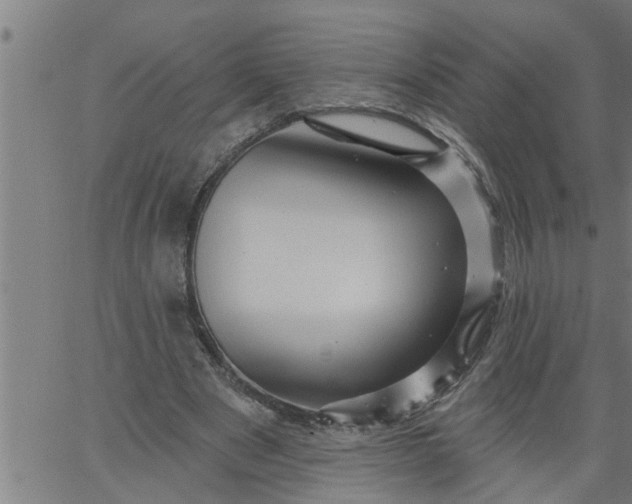 X0000066530489200603311824