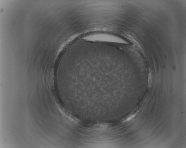 X0000066530492200603311823