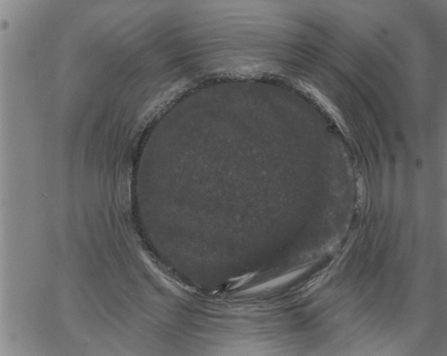 X0000066530493200603311823