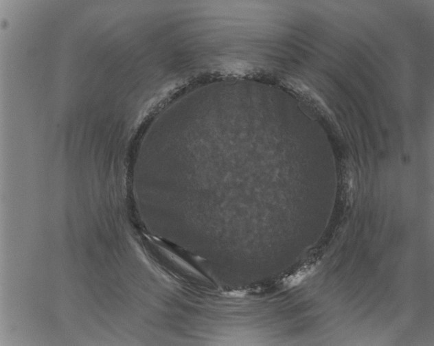 X0000066530496200603311823