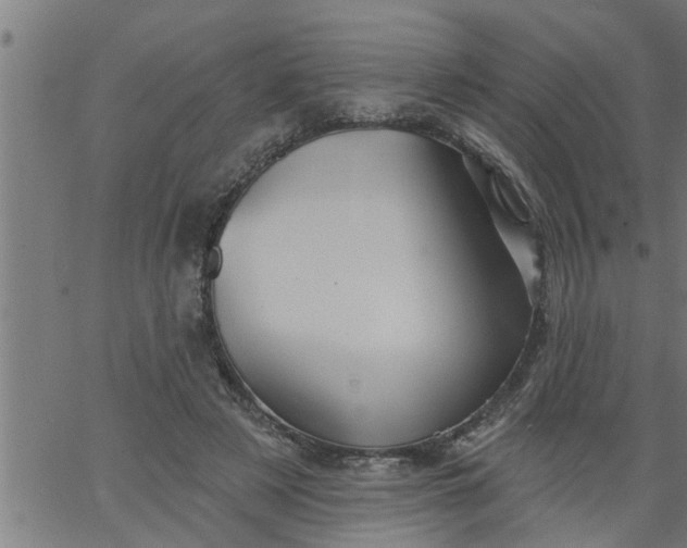 X0000066530497200603311823