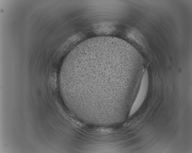 X0000066530498200603311823