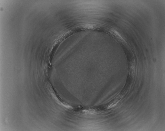 X0000066530500200603311823