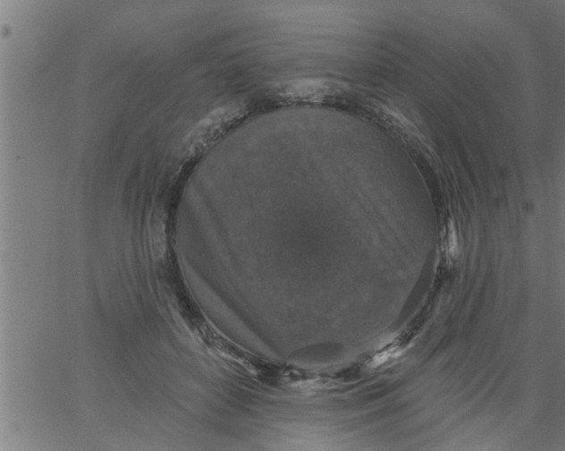 X0000066530504200603311823