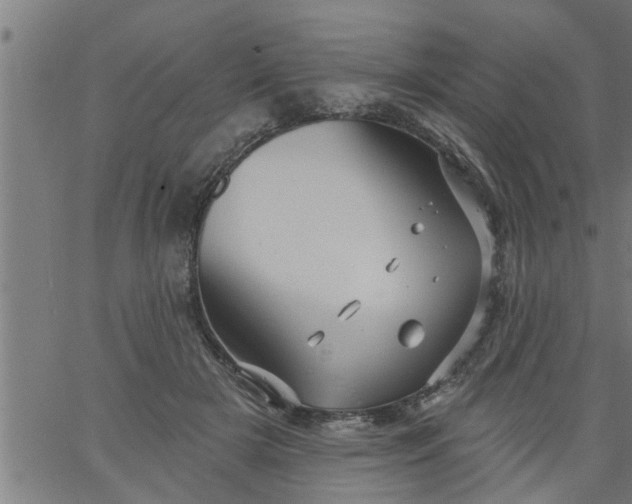 X0000066530505200603311823