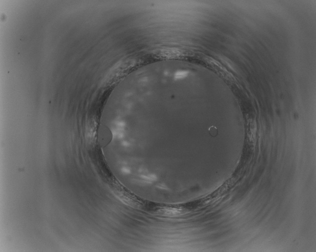 X0000066530507200603311823