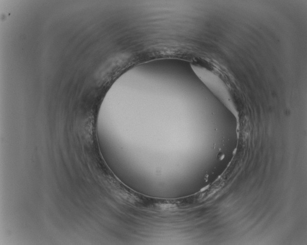 X0000066530509200603311823